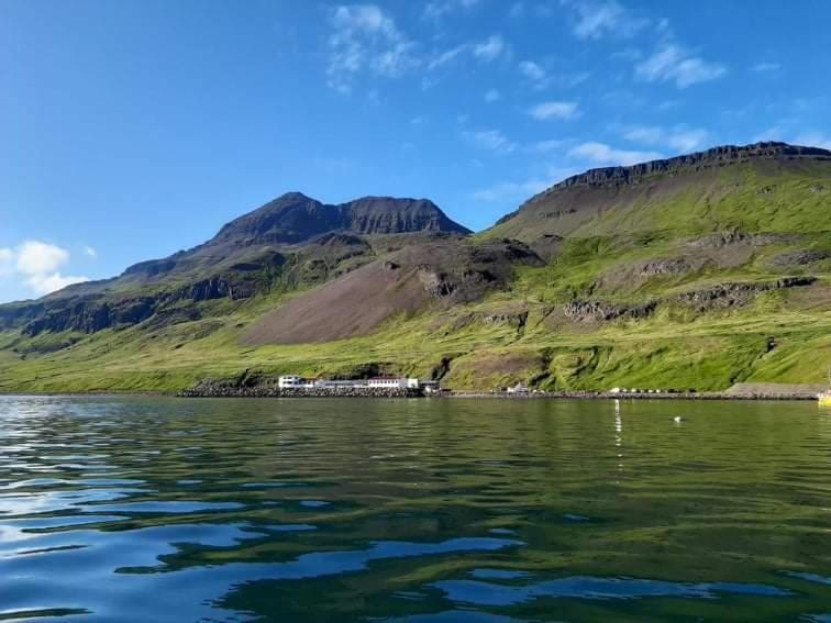 Bergistangi Hostel Northurfjorthur Экстерьер фото